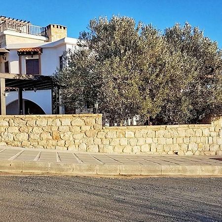 Magnificent Villa In Akamas Peninsula 파포스 외부 사진